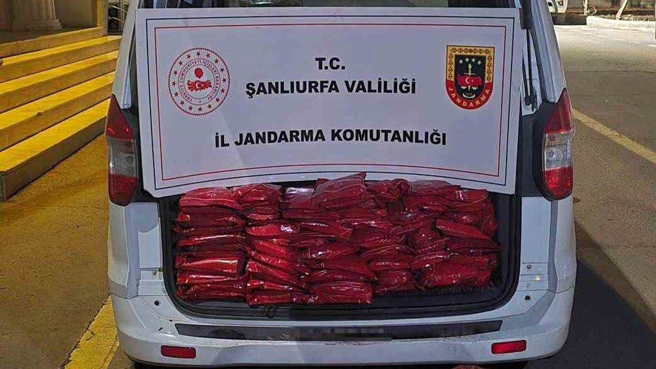 Şanlıurfa’da 5 bin 210 Paket Kaçak Sigara Ele Geçirildi