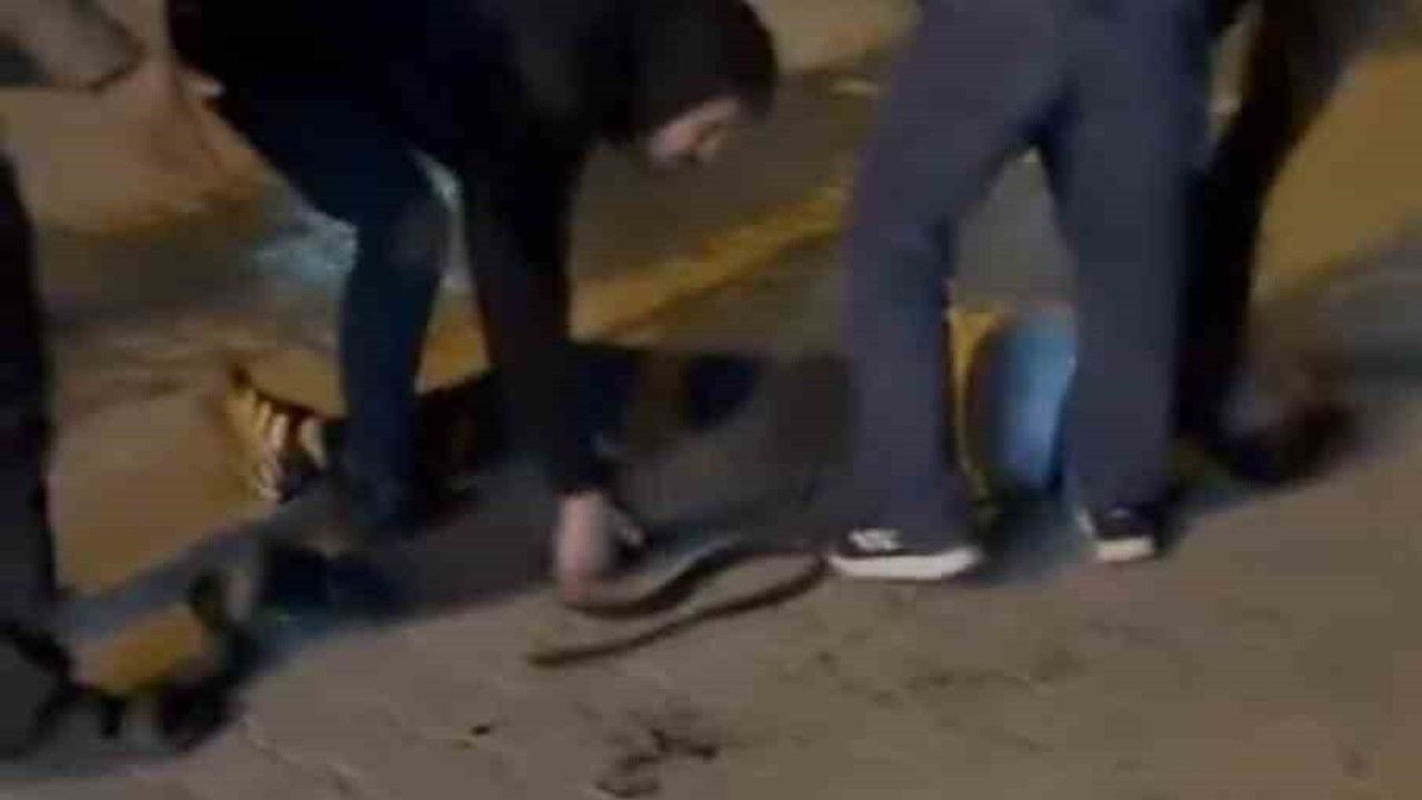 Şanlıurfa'da Bıçaklı Kavga: 3 Yaralı