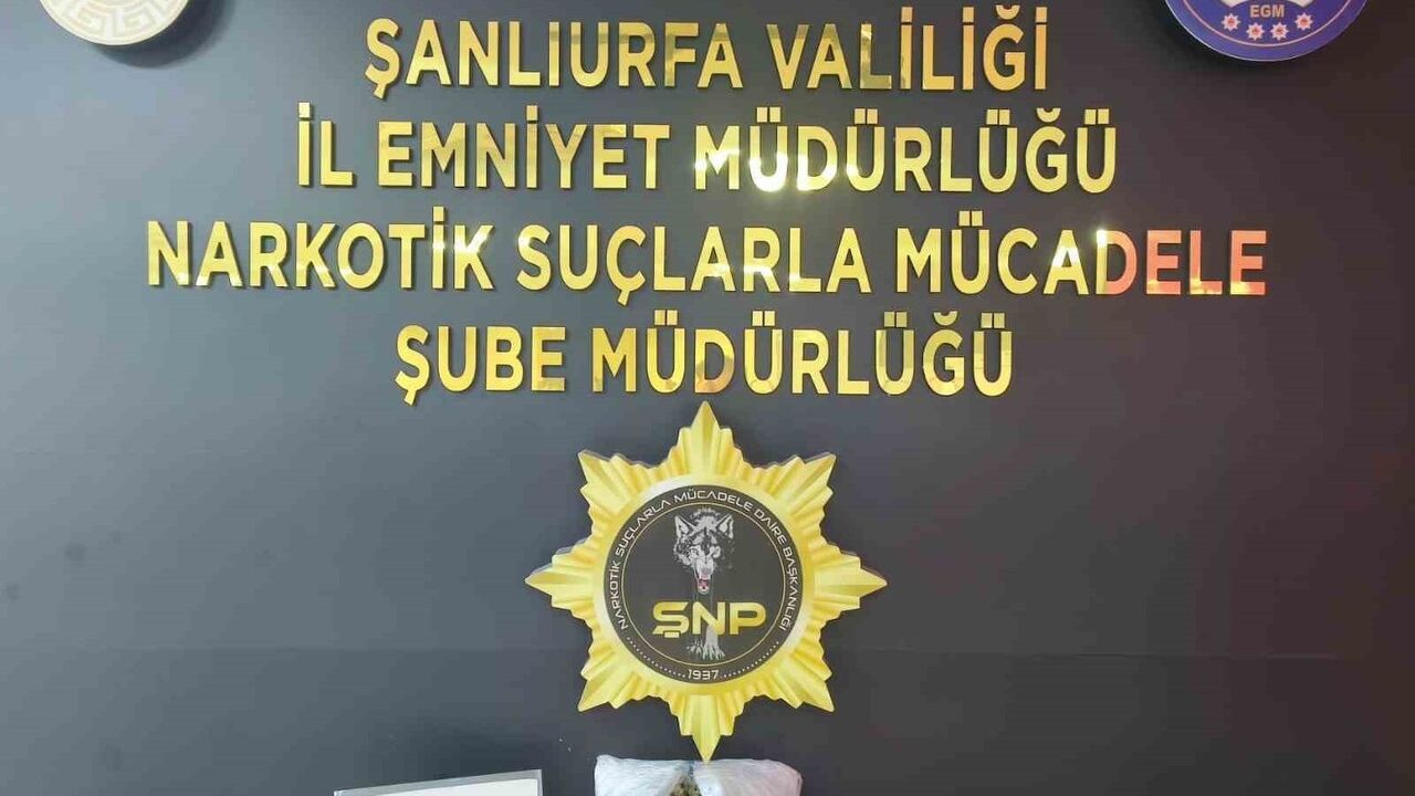 Şanlıurfa'da Uyuşturucu Operasyonu: 1 Kilo 200 Gram Skunk Ele Geçirildi, 1 Tutuklama
