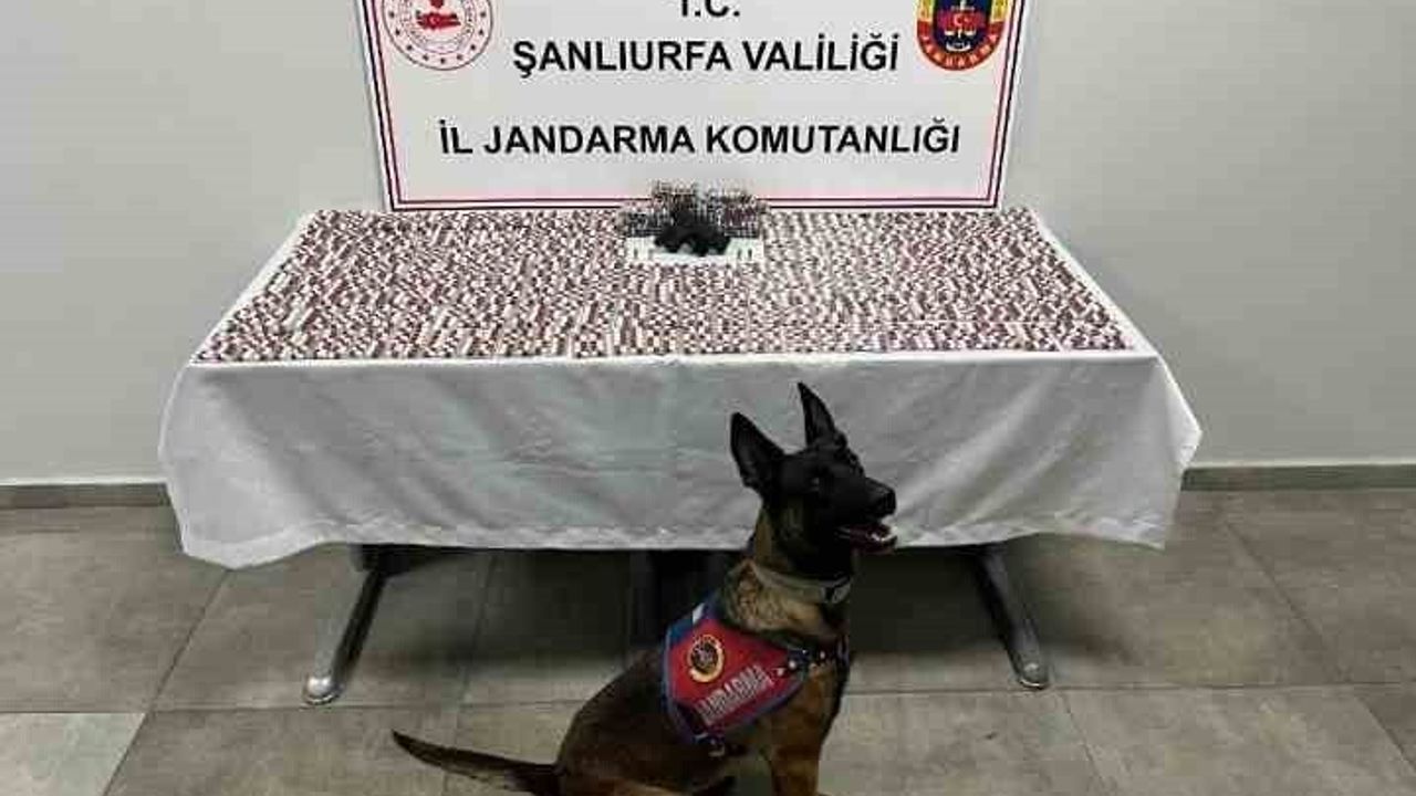 Şanlıurfa'da Uyuşturucu Operasyonu: 2 Gözaltı, 2 bin 772 Hap Ele Geçirildi