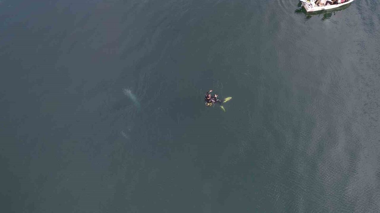 Sapanca Gölü'ndeki Kabarcıklar Havadan ve Su Altından Görüntülendi — Uzman: Endişeye Mahal Yok