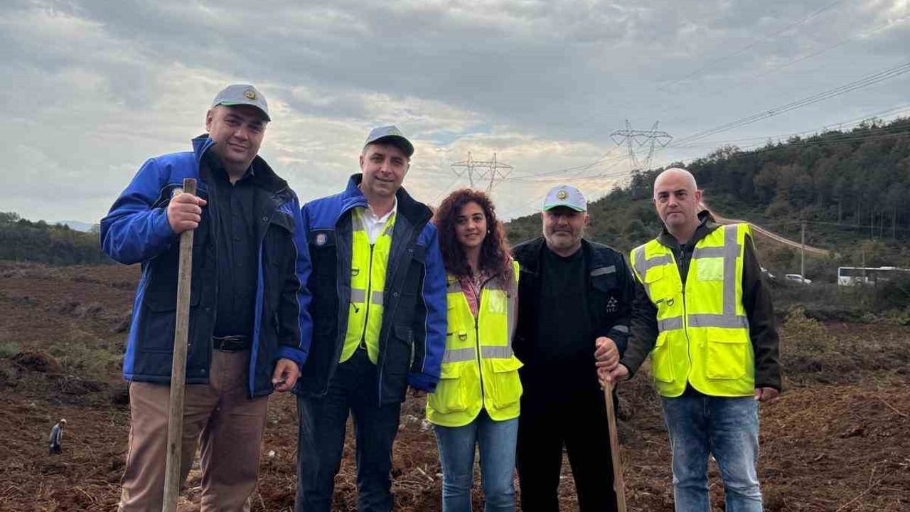 SEDAŞ Milli Ağaçlandırma Günü'nde 4 ilde 500 fidan dikti