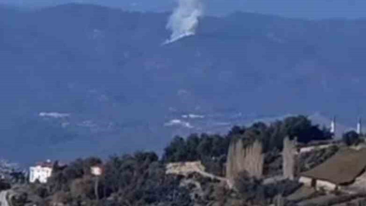 Seydikemer'de Orman Yangını: Çaltıözü Mahallesi'nde Alevler