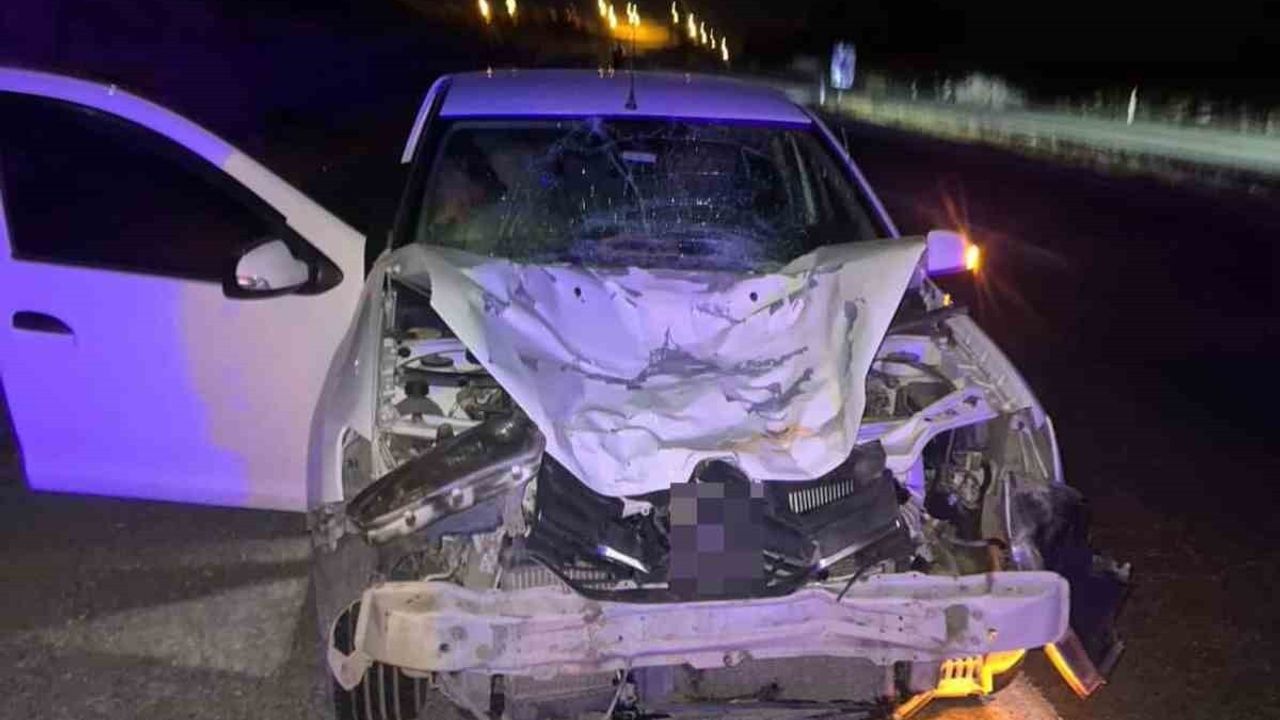 Siirt Kurtalan'da Otomobilin Çarptığı At Telef Oldu