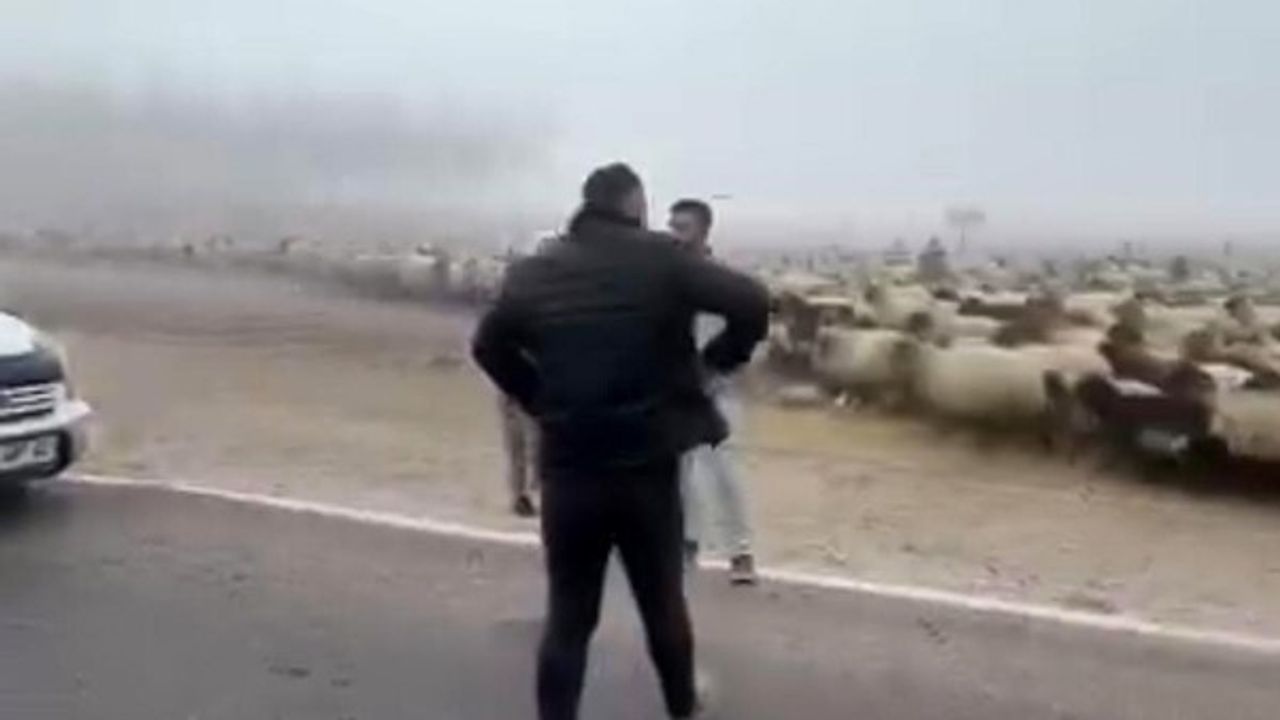 Siirt’te Sis: Kurtalan’da Otomobil Koyun Sürüsüne Çarptı, 3 Koyun Telef Oldu