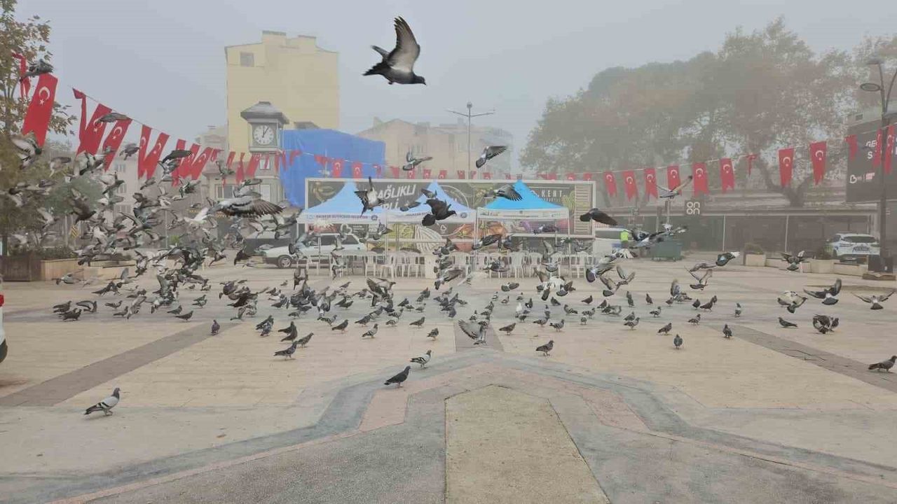 Sındırgı'da Yoğun Sis: Görüş Mesafesi 20 Metreye Düştü