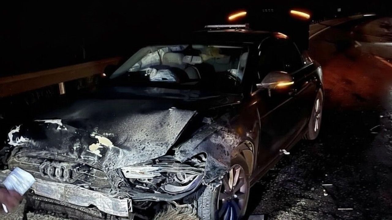 Sinop Belediye Başkanı Metin Gürbüz'ün Makam Aracı Domuz Sürüsüne Çarptı