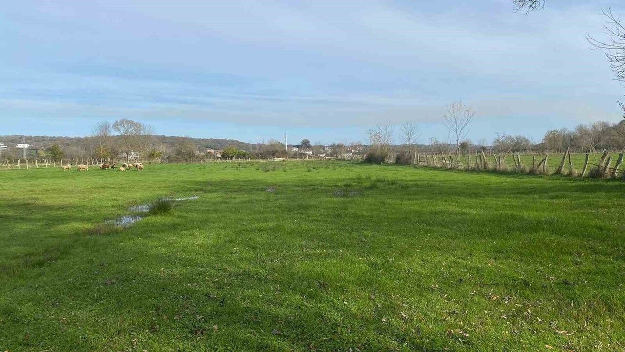 Sinop'ta Dere Taşkınları Köylüleri Tedirgin Ediyor