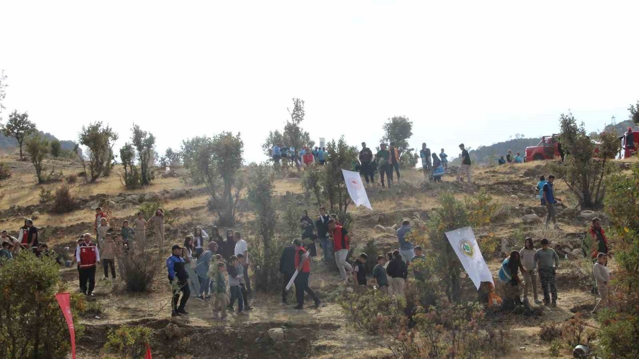Şırnak'ta Adliye Hatıra Ormanı Kuruldu: 2 Bin Fidanla Milli Ağaçlandırma
