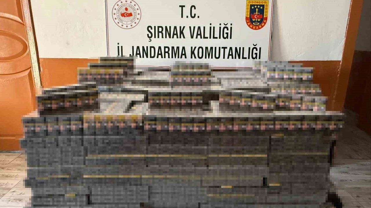 Şırnak’ta Jandarma’dan Kaçakçılık ve Uyuşturucu Operasyonu