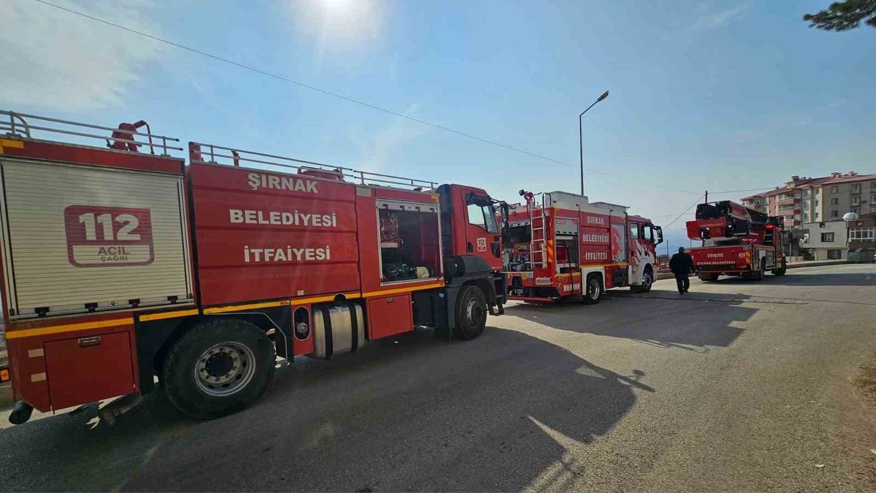 Şırnak'ta Yeni Mahalle'de Odun ve Lastikler Yandı