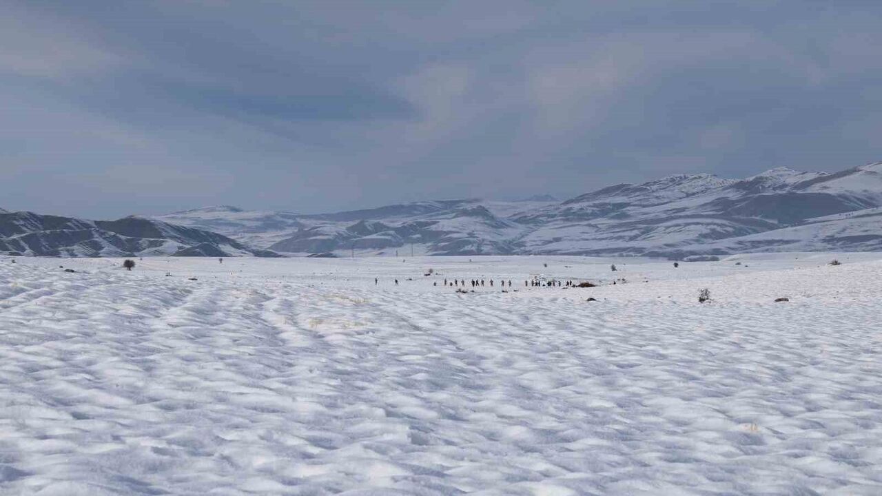 Sivas'ta 7 Gündür Kayıp: Musa Uygun İçin Arama Çalışmaları Sürüyor