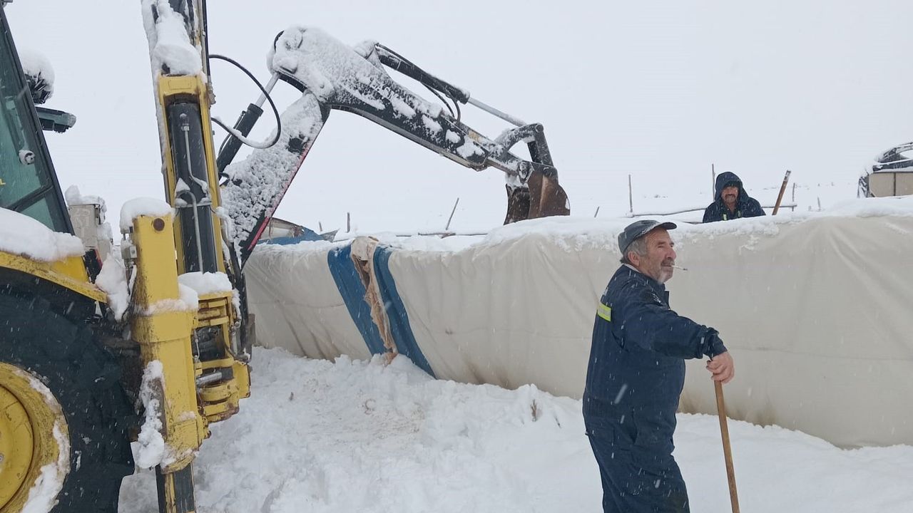 Sivas'ta çadır çöktü: 8 koyun telef oldu