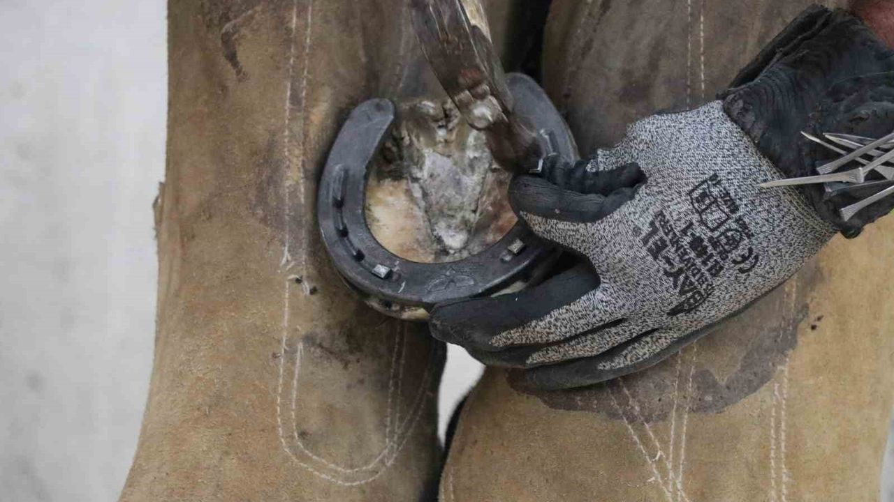 Sivas'ta Nalbantlık Tehlikede: Usta Yusuf Çemek Mesleği Yaşatıyor