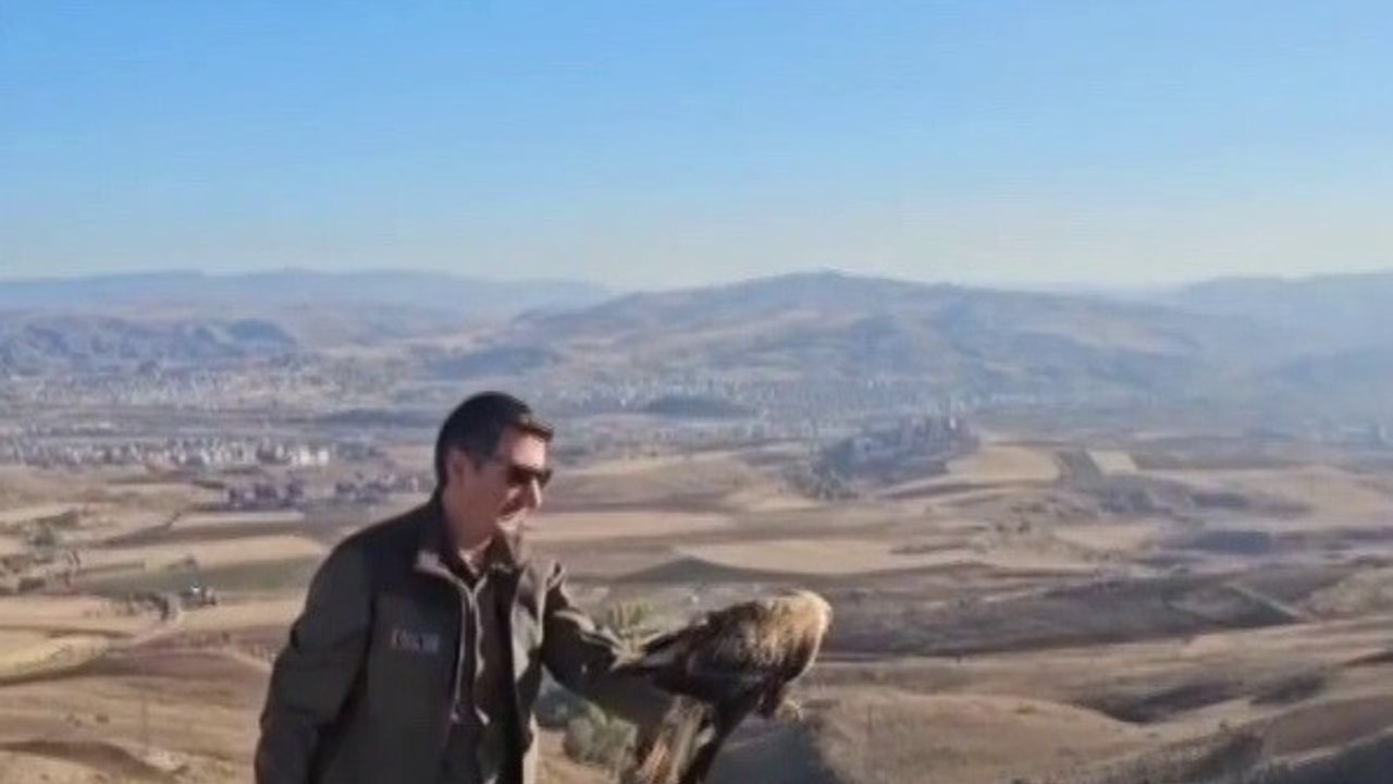 Sivas’ta Rehabilite Edilen Şahin Yeniden Doğaya Salındı