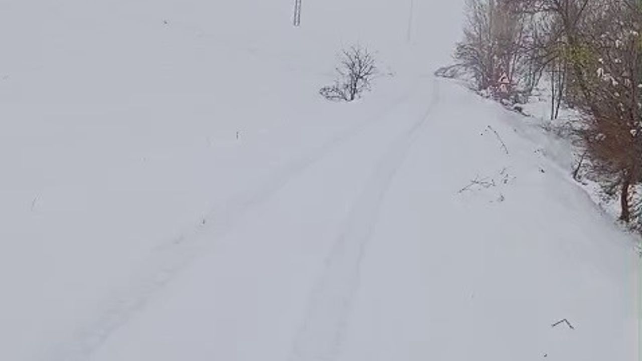 Sivas'ta Yoğun Kar 46 Yerleşim Yerini Ulaşıma Kapattı