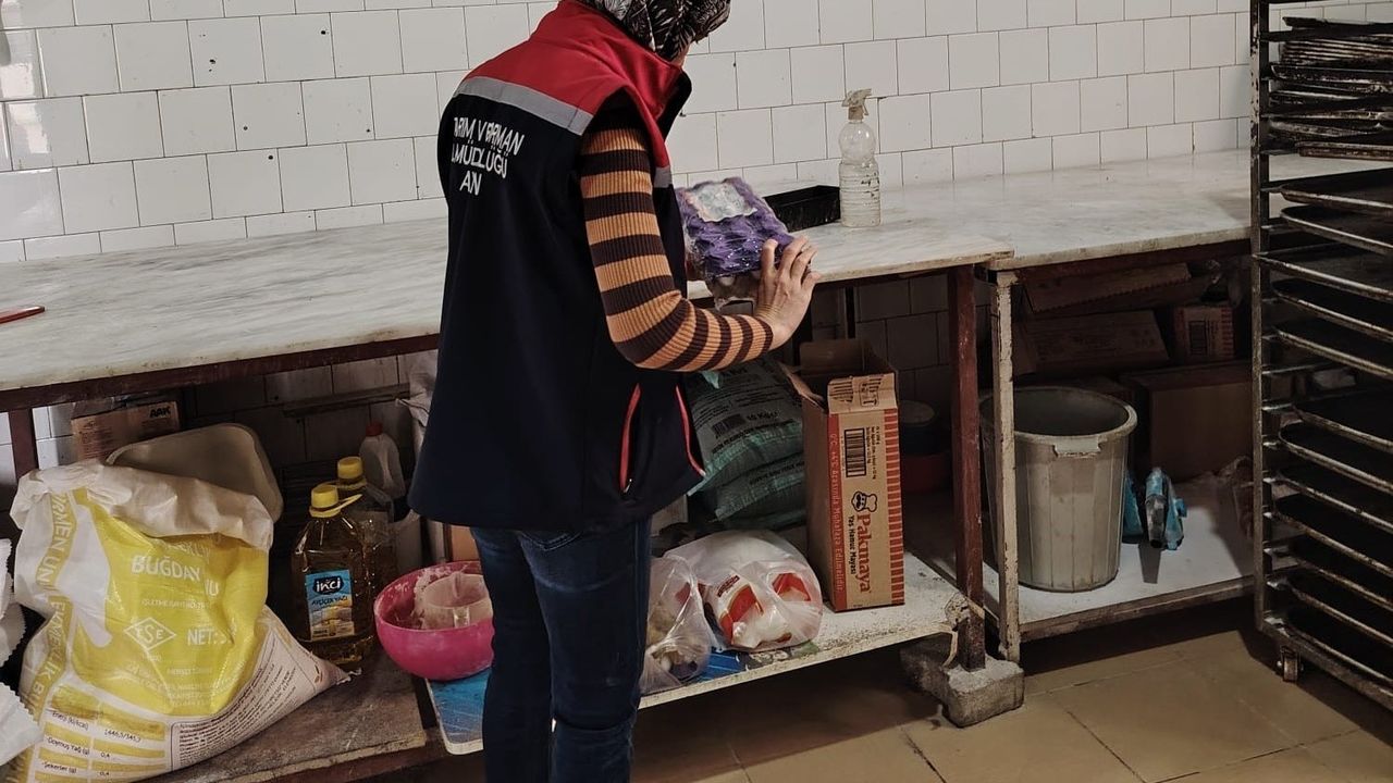 Söke'de Gıda Denetimleri Sıkılaştırıldı: Alo Gıda 174 İhbarları Takipte
