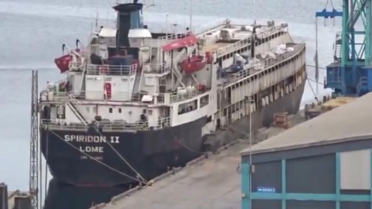 Spiridon-II Gemisinde Susuzluk İddiası: Bandırma'da Ölü İnekler ve Kötü Koku