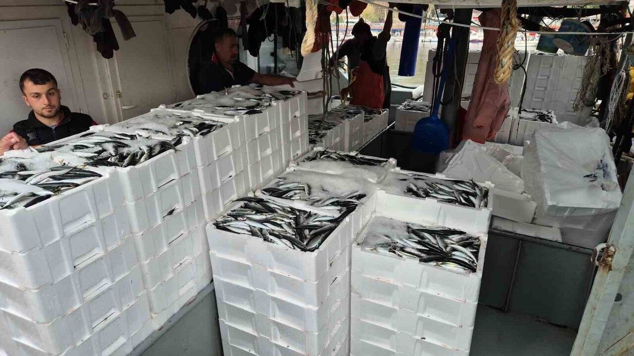 Süleymanpaşa'da Balık Bereketi: Lodos Sonrası 600 Kasa Balık