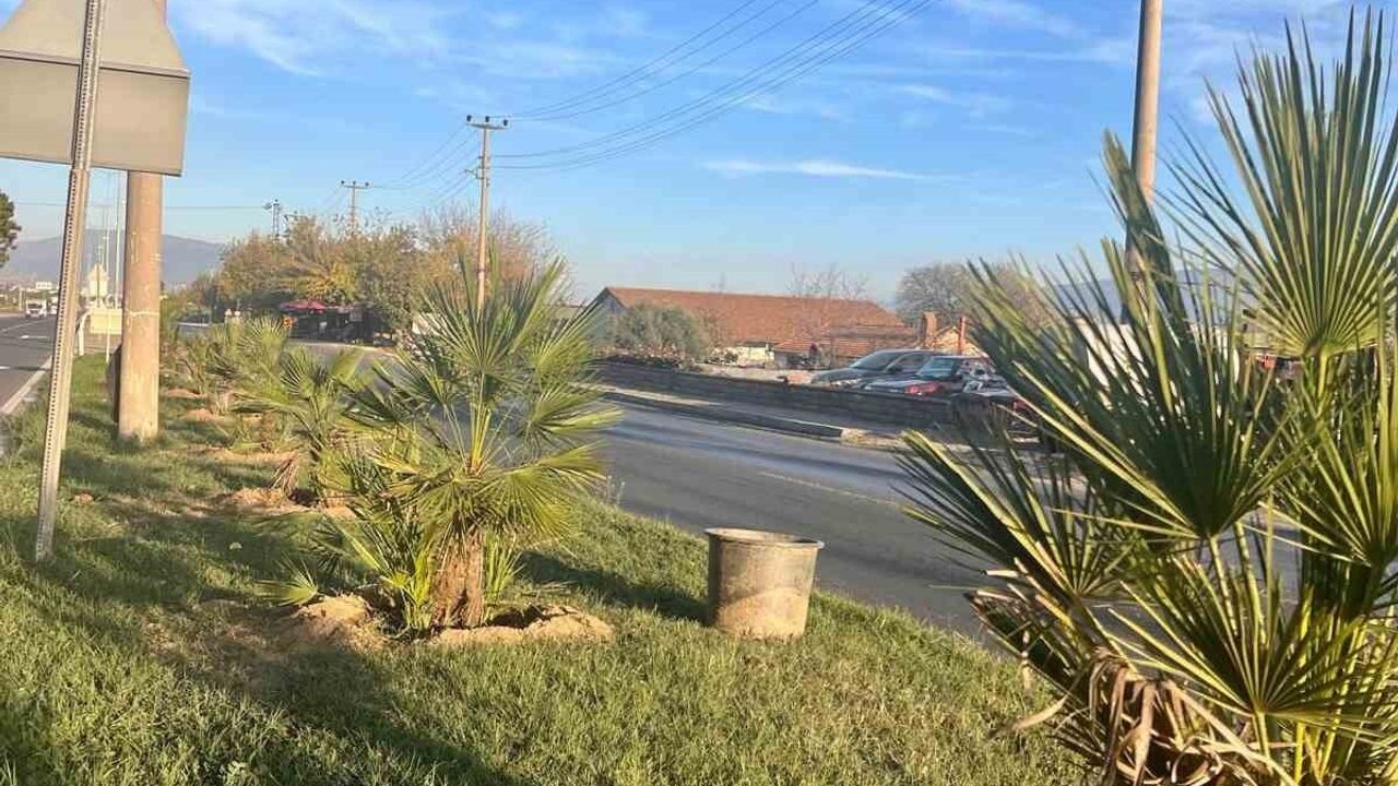 Sultanhisar'da Ağaçlandırma Seferberliği: Yeşil Sultanhisar Hedefi