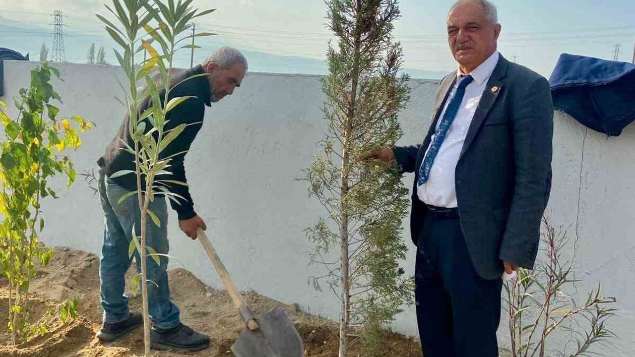 Sultanhisar'da Evcil Hayvan Merkezi Yeşillendiriliyor