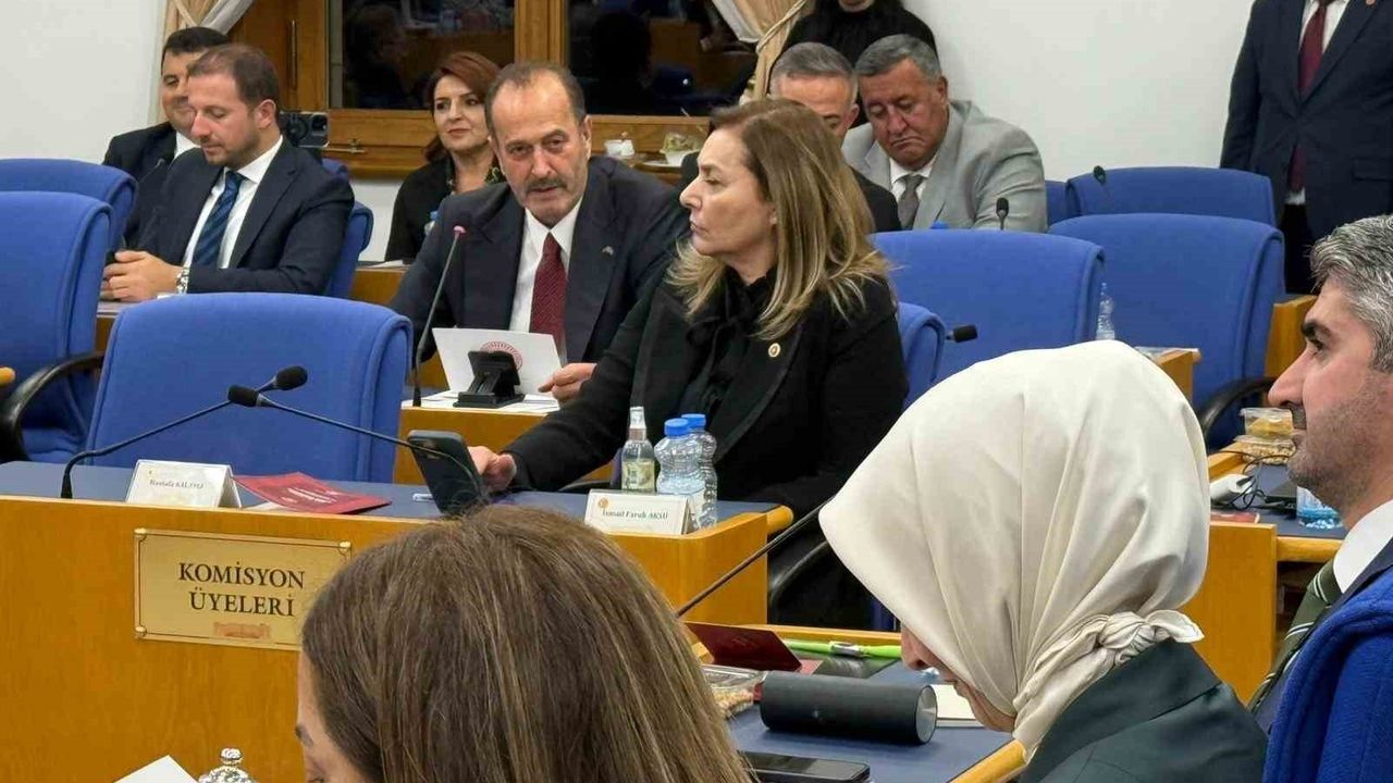 Tamer Osmanağaoğlu'ndan Aliağa vurgusu: KYK ve spor yatırımı talebi