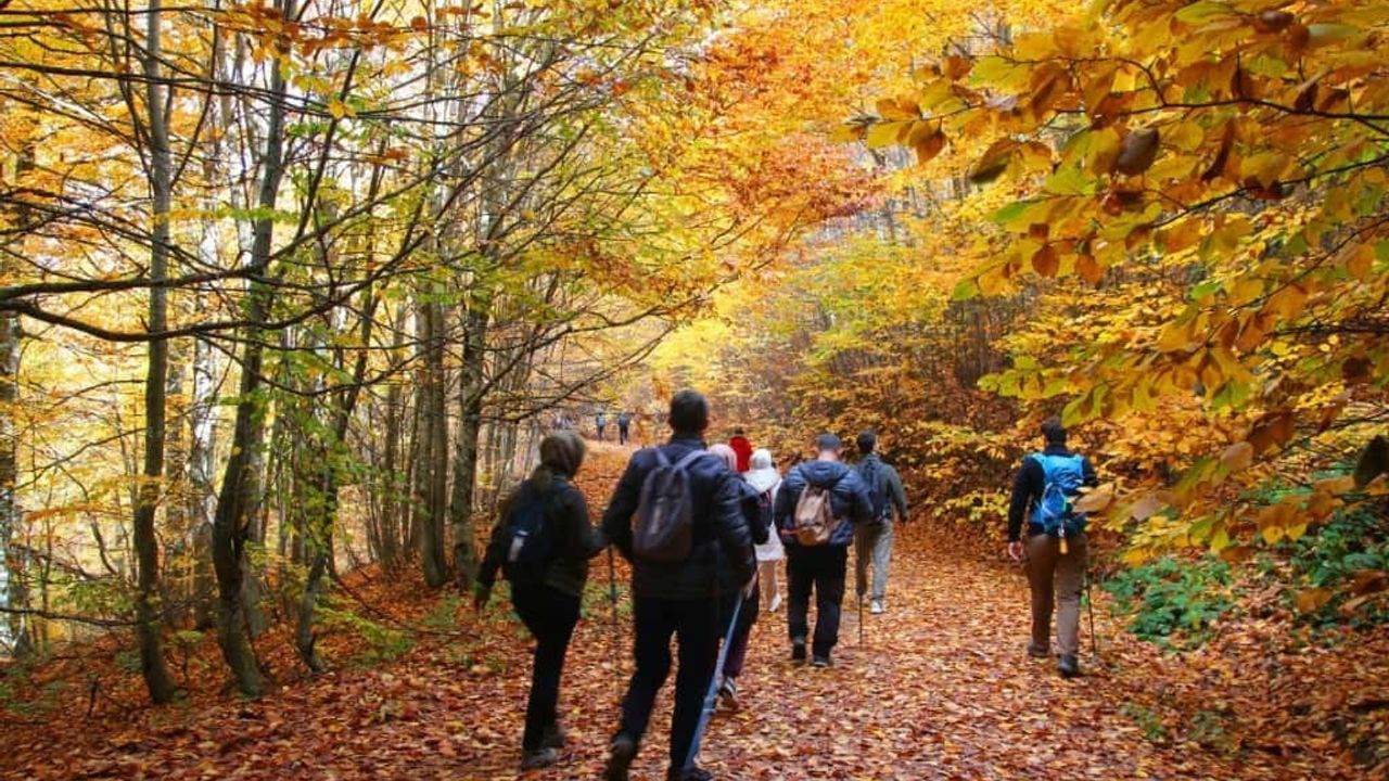 Tavşanlı Doğa Sporları Kulübü Domaniç Kocadağ'da Yürüdü: 'Doğayı Koruyun' Çağrısı