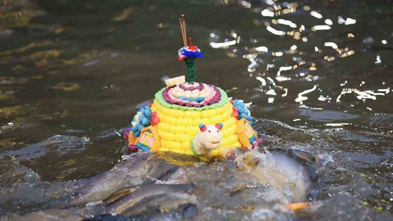 Tayland'da Loy Krathong (5 Kasım): Yüzen Fenerler ve Çevre Duyarlılığı