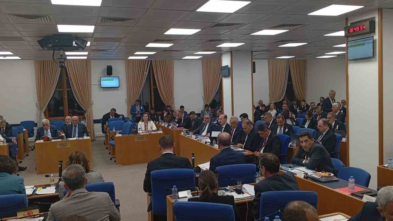 TBMM Plan ve Bütçe Komisyonu'nda 'Kürt illeri' Tartışması: Muş ve Usta'dan Tepki