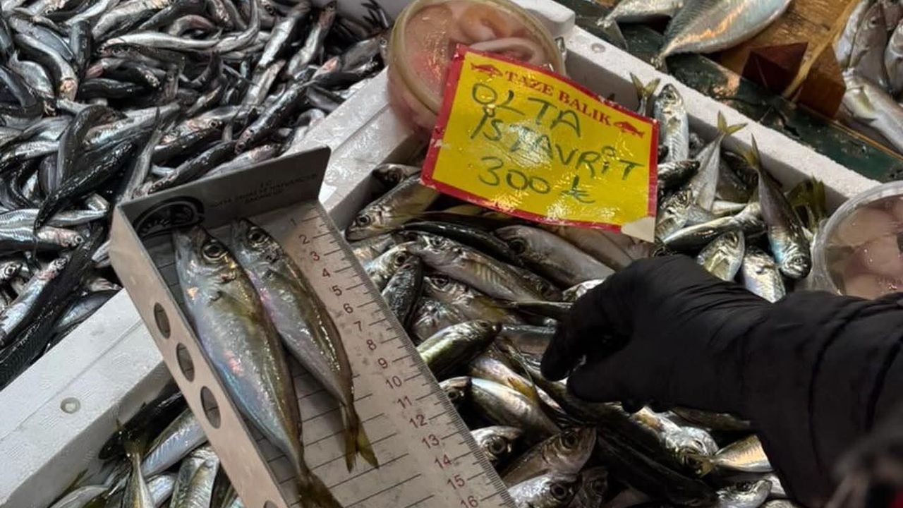 Tekirdağ’da Balık Tezgahlarında Sıkı Denetim: Boy Ölçümleriyle Sürdürülebilir Avcılık
