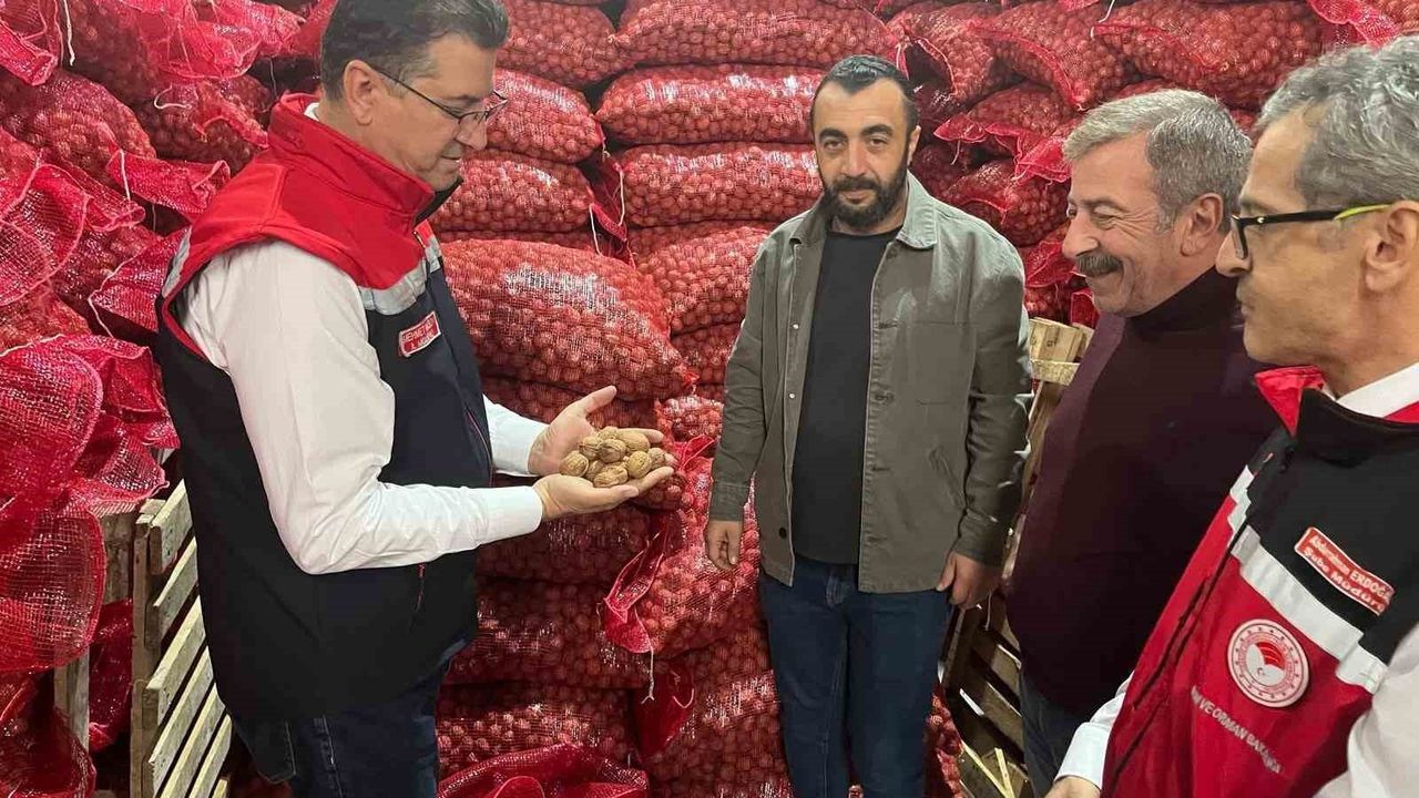 Tekirdağ'da Ceviz Ekim Alanları Genişliyor: Özel Ağaçlandırma ve İyi Tarım