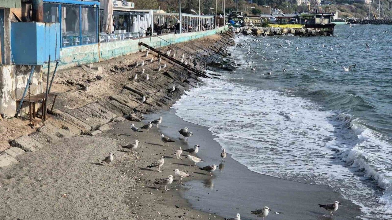 Tekirdağ'da Lodos Fırtınası: Balıkçılar Süleymanpaşa Limanına Döndü