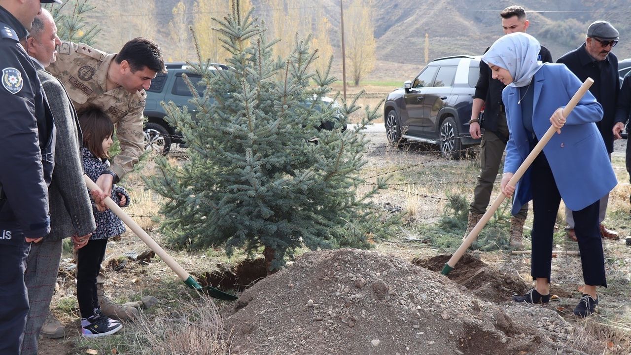 Tercan'da 11 Kasım Fidan Dikimi: Milli Ağaçlandırma Günü'nde Yeşil Hareket