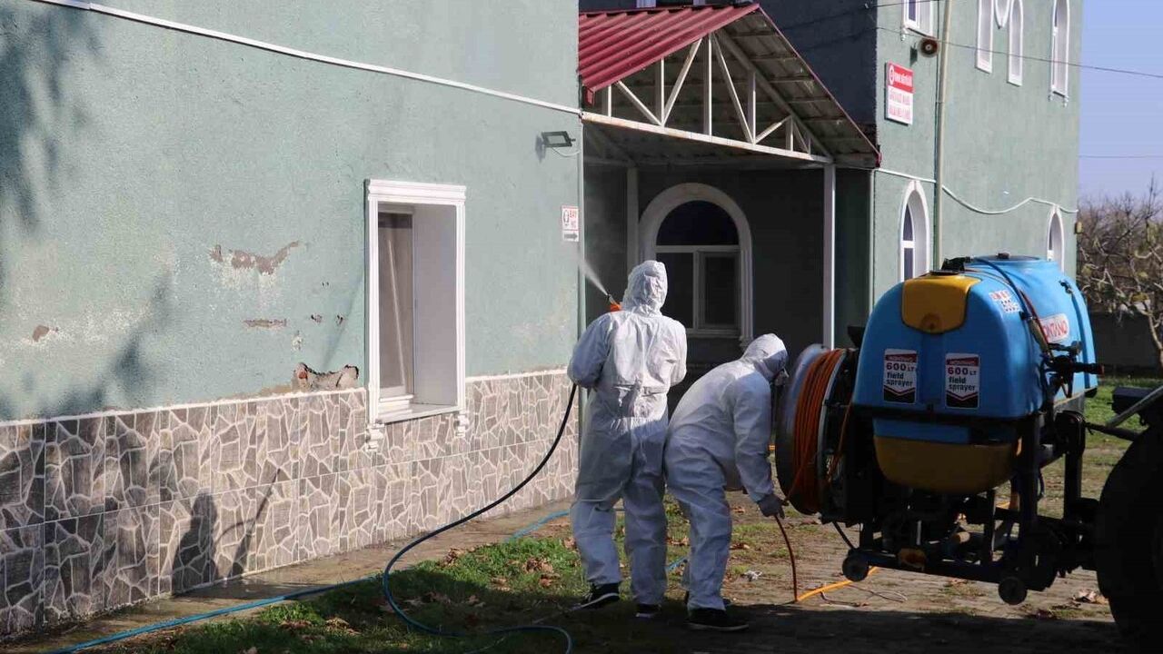 Terme'de kahverengi kokarca ile mücadele: 850 hane, 623 ahır ilaçlandı