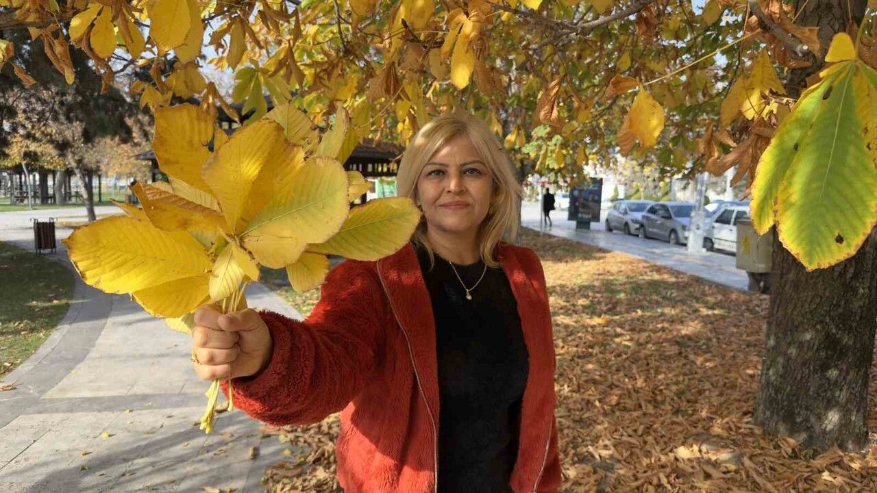 Tokat'ta Sonbahar Renkleri: Belediye Yaprakları Temizlemiyor