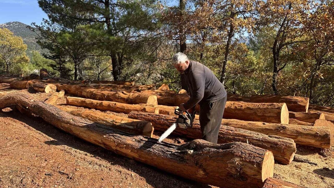 Toroslar'da 35 Yıldır Ağaç Kesimi: Güneş Çiftinin Zorlu Mesaisi