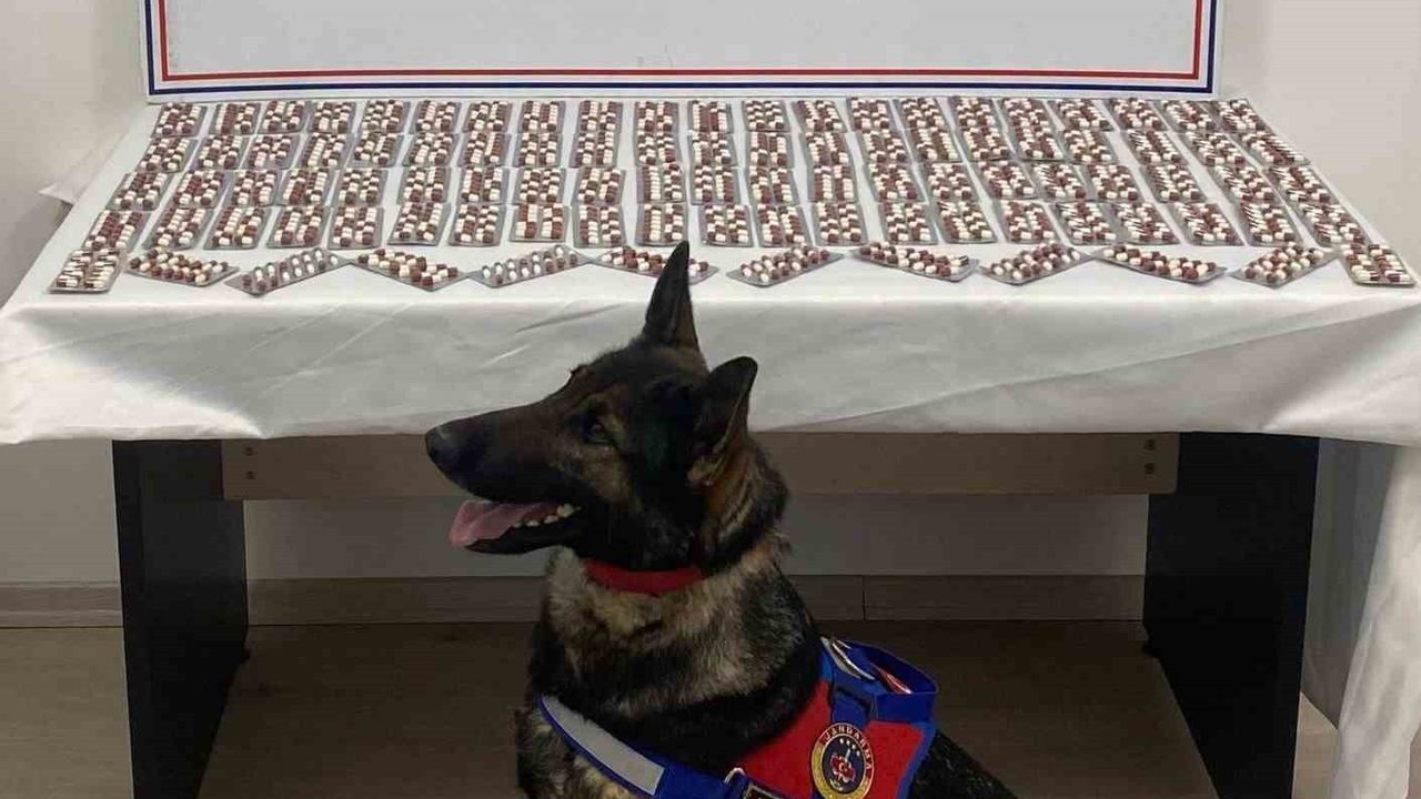 Tosya'da bin 344 sentetik ecza hapı ele geçirildi: M.V. tutuklandı