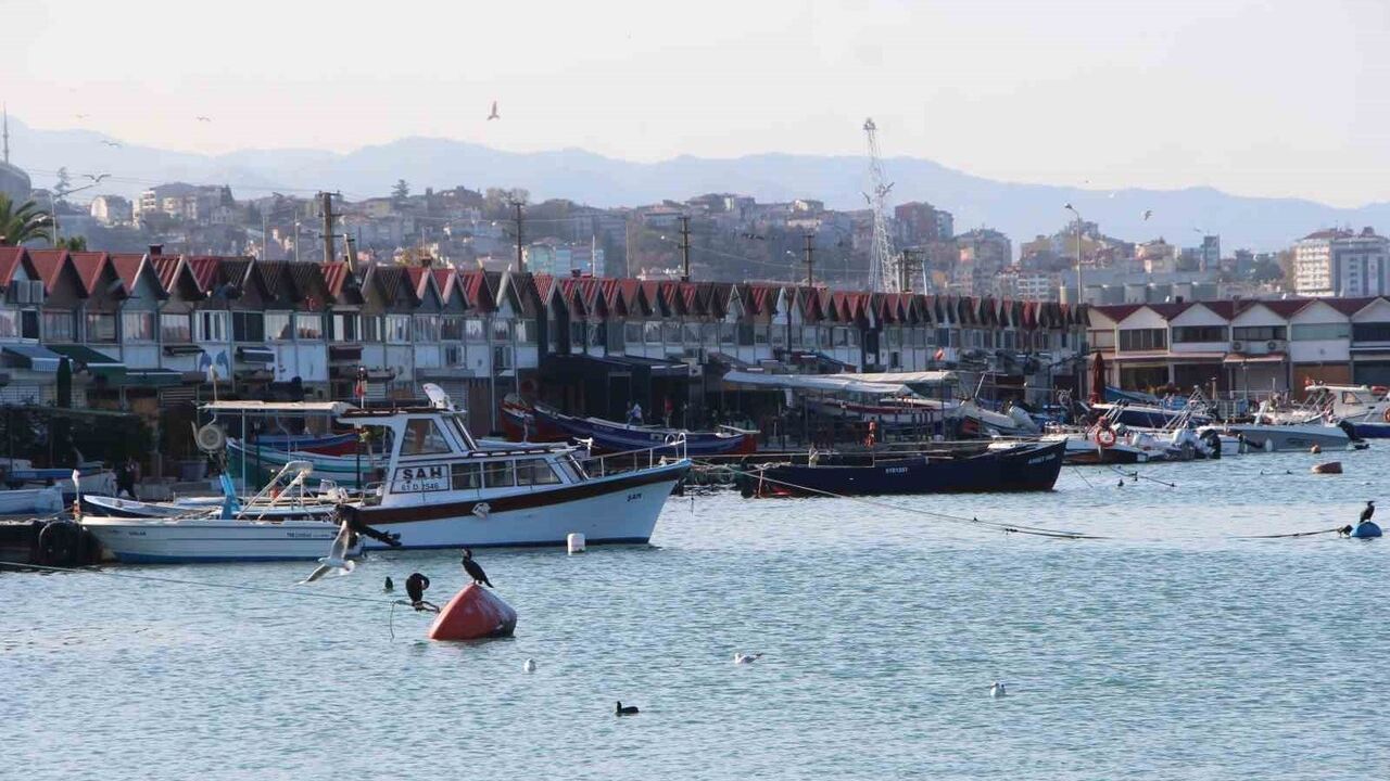 Trabzon'da Balıkçı Barınakları Lüks Konuta Dönüşüyor — 5-7 Milyon TL