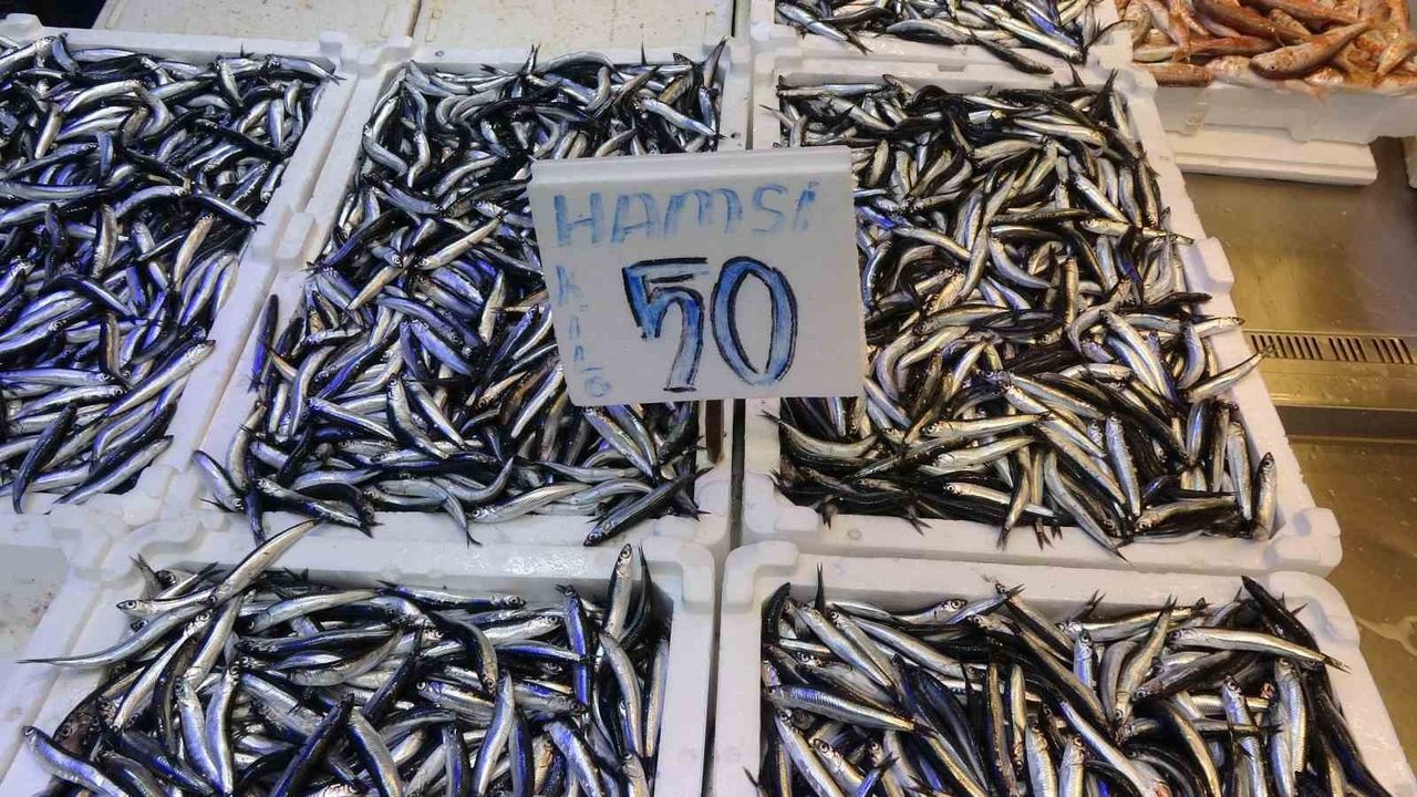 Trabzon'da Hamsi Bolluğu: Kilosu 50 TL, Vatandaş Hamsiye Doydu