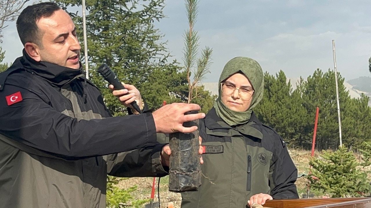 Tunçbilek'te Milli Ağaçlandırma: 2 bin karaçam fidanı toprakla buluştu