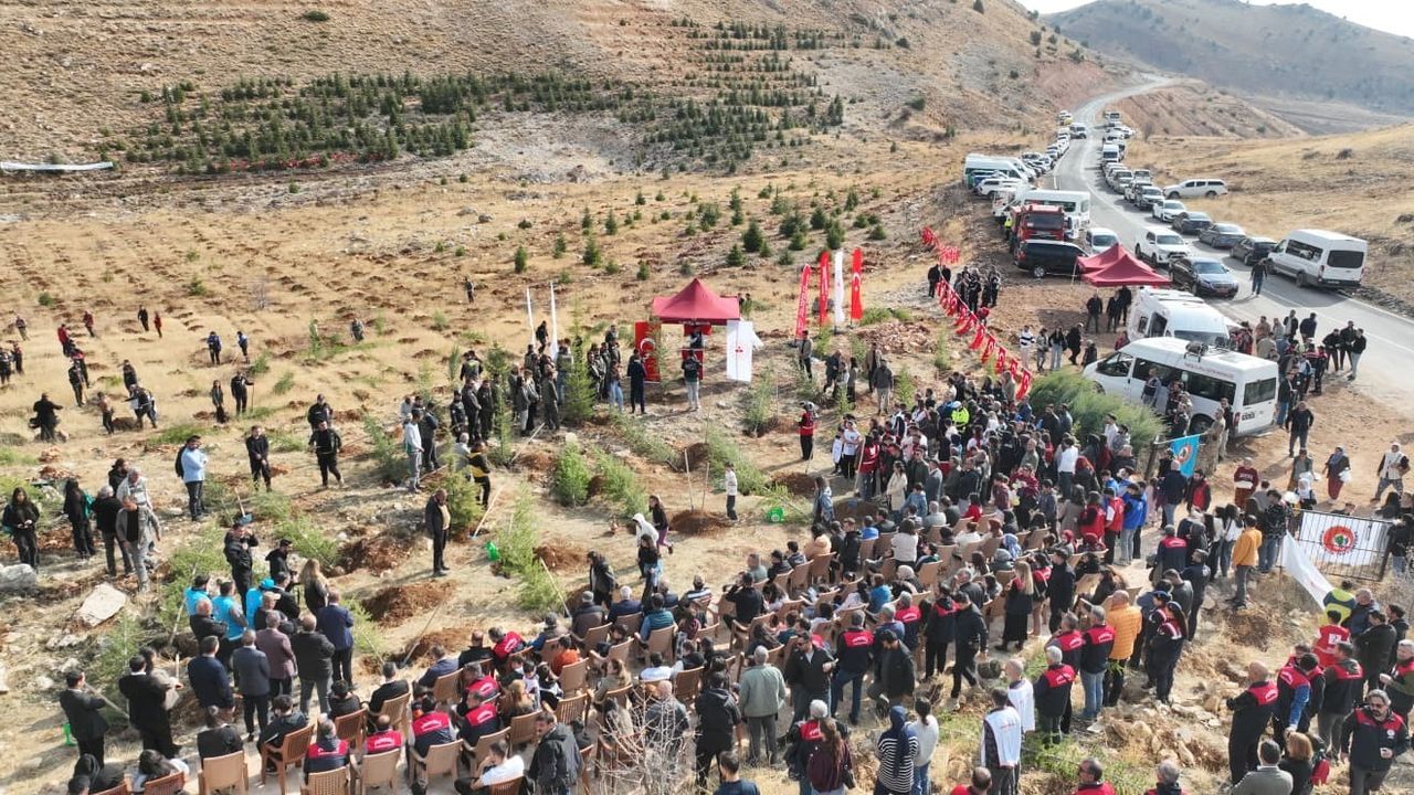 Tunceli'de 11 Kasım'da 3 Bin Fidan Toprakla Buluştu