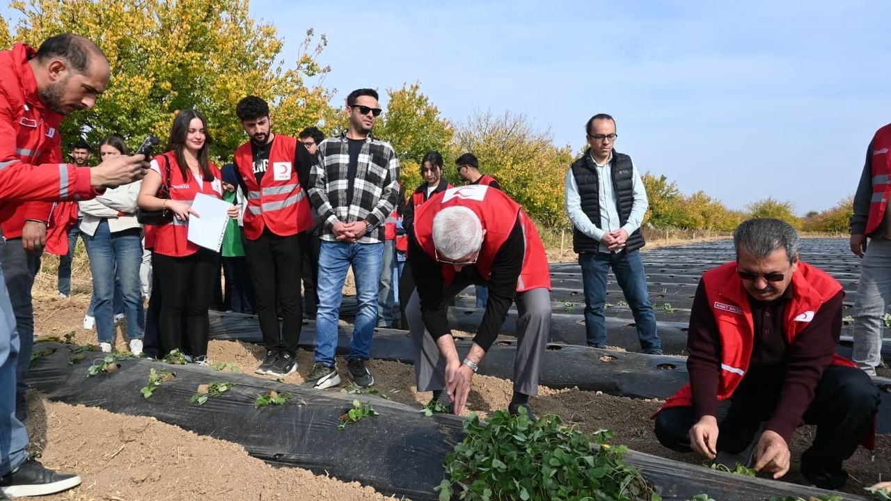 Türk Kızılay Destekli Malatya Çilek Hibe Projesi Başladı