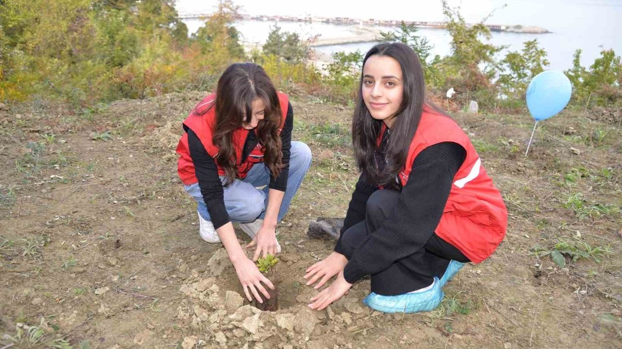 Türkeli'de 11 Kasım: 'Sevdamız Yeşil Vatan' Fidan Dikimi