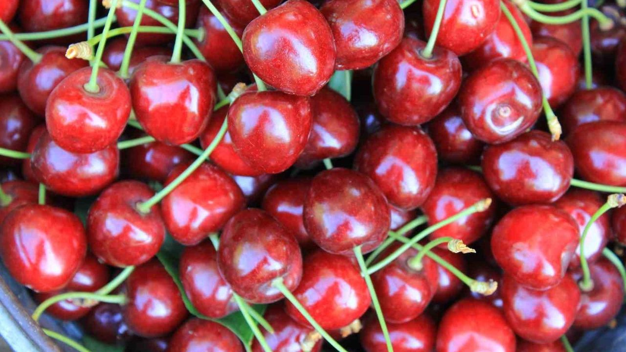 Türkiye, Dondurulmuş Kirazda Dünya Lideri