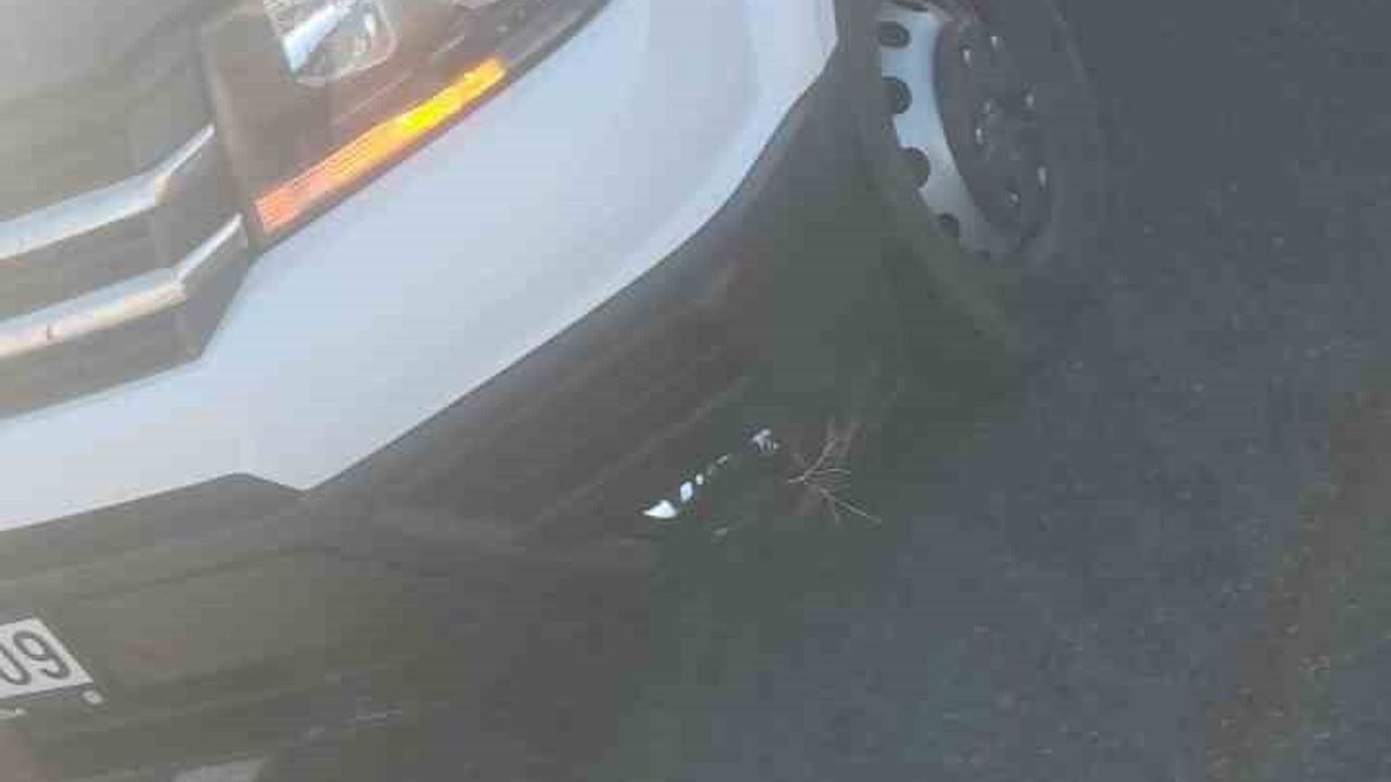 Tutak’ta Trafik Kazası: Biri Ağır, Üç Yaralı