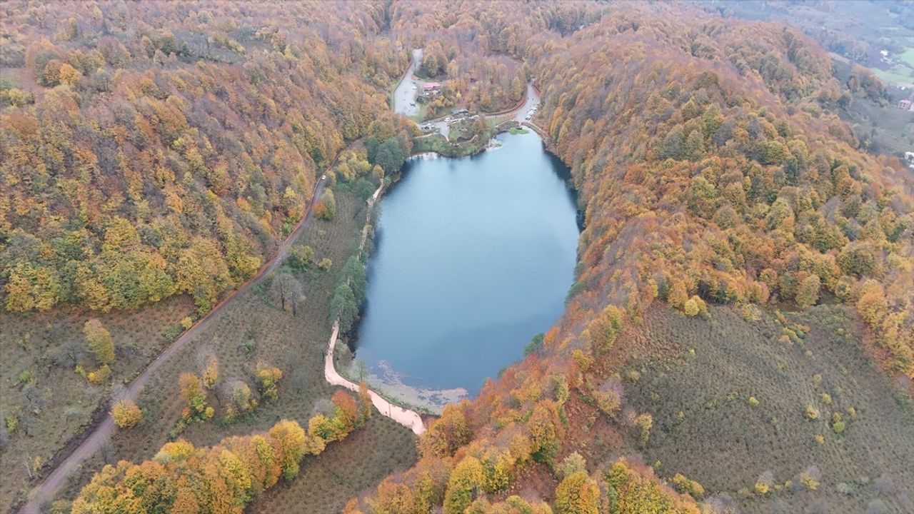 Ulugöl Tabiat Parkı Sonbaharla Renklendi — Gölköy, Ordu