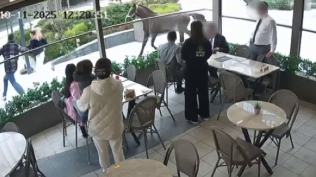 Ümraniye'de Başıboş At Vatandaşları Dakikalarca Kovaladı