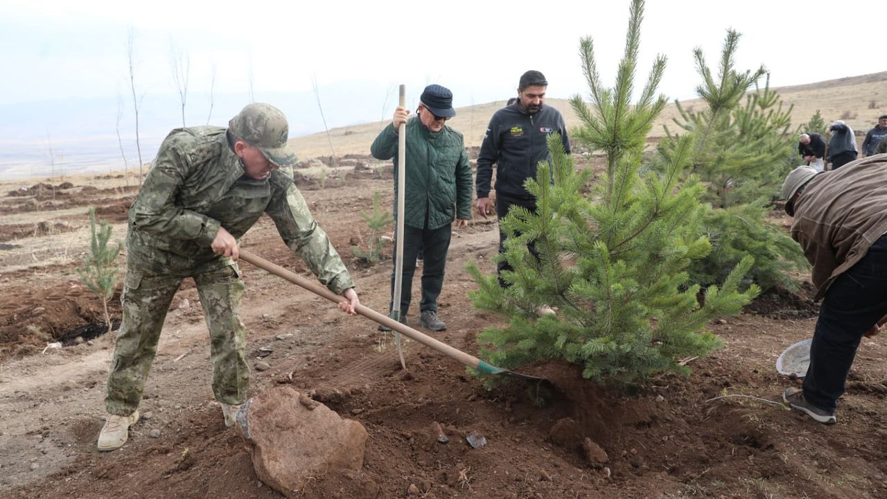 Üsteğmen İsmail Aksu Anısına 2 Bin 400 Rakımlı Tepede Ağaç Dikildi