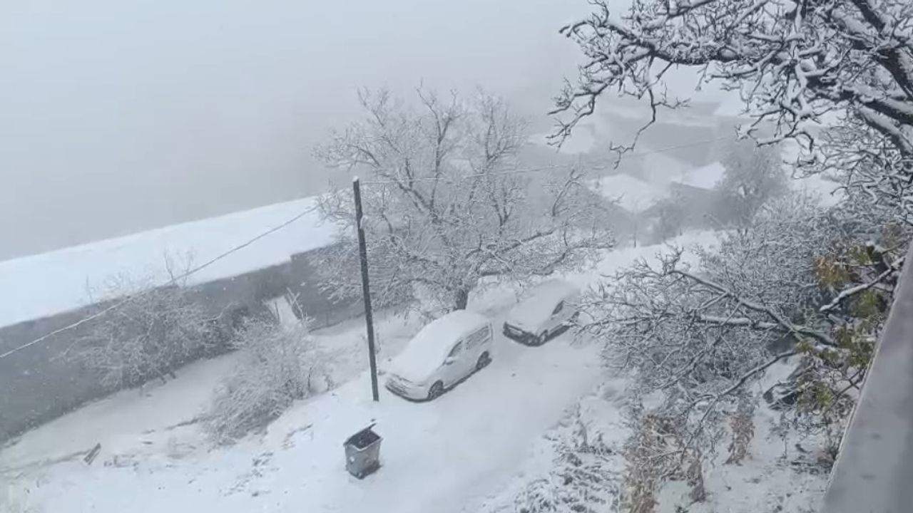 Van-Bahçesaray'da Kar Etkili: Karabet Geçidi'nde Sürücüler Zorluk Yaşadı