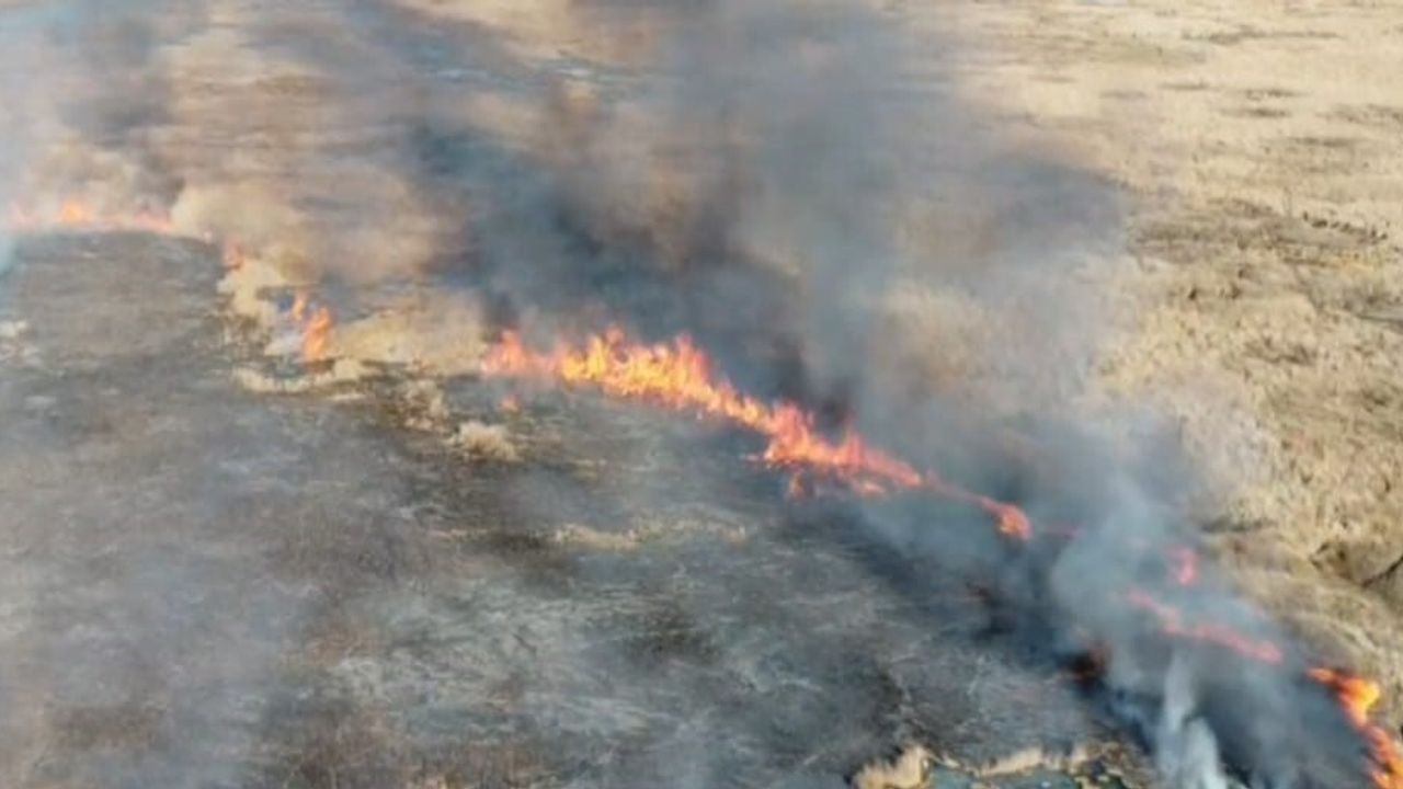 Van'da Çırak Sazlığında Yangın: 300 Dönüm Tehlikede